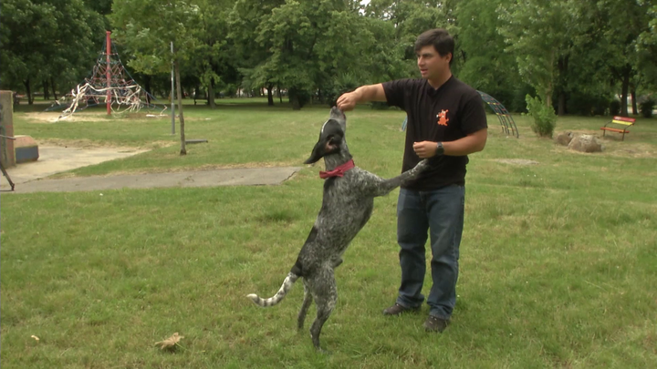 Miláčikovo - Psíka sa snažíme dostať do výšky